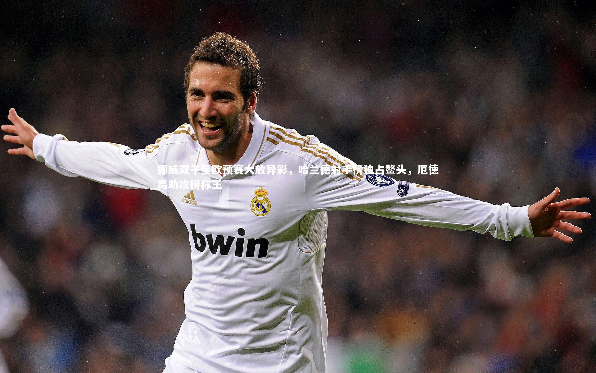 挪威双子星欧预赛大放异彩，哈兰德射手榜独占鳌头，厄德高助攻榜称王